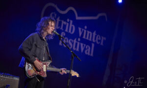 Strib Festival 2025