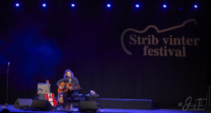 Strib Festival 2025