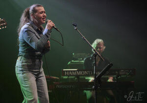 Strib Festival 2025