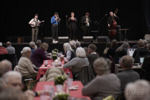 Strib Festival 2025