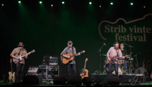 Strib Festival 2025