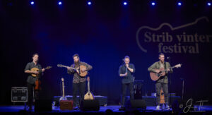 Strib Festival 2025