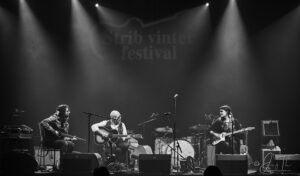 Strib Festival 2025