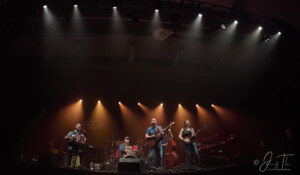 Strib Festival 2025